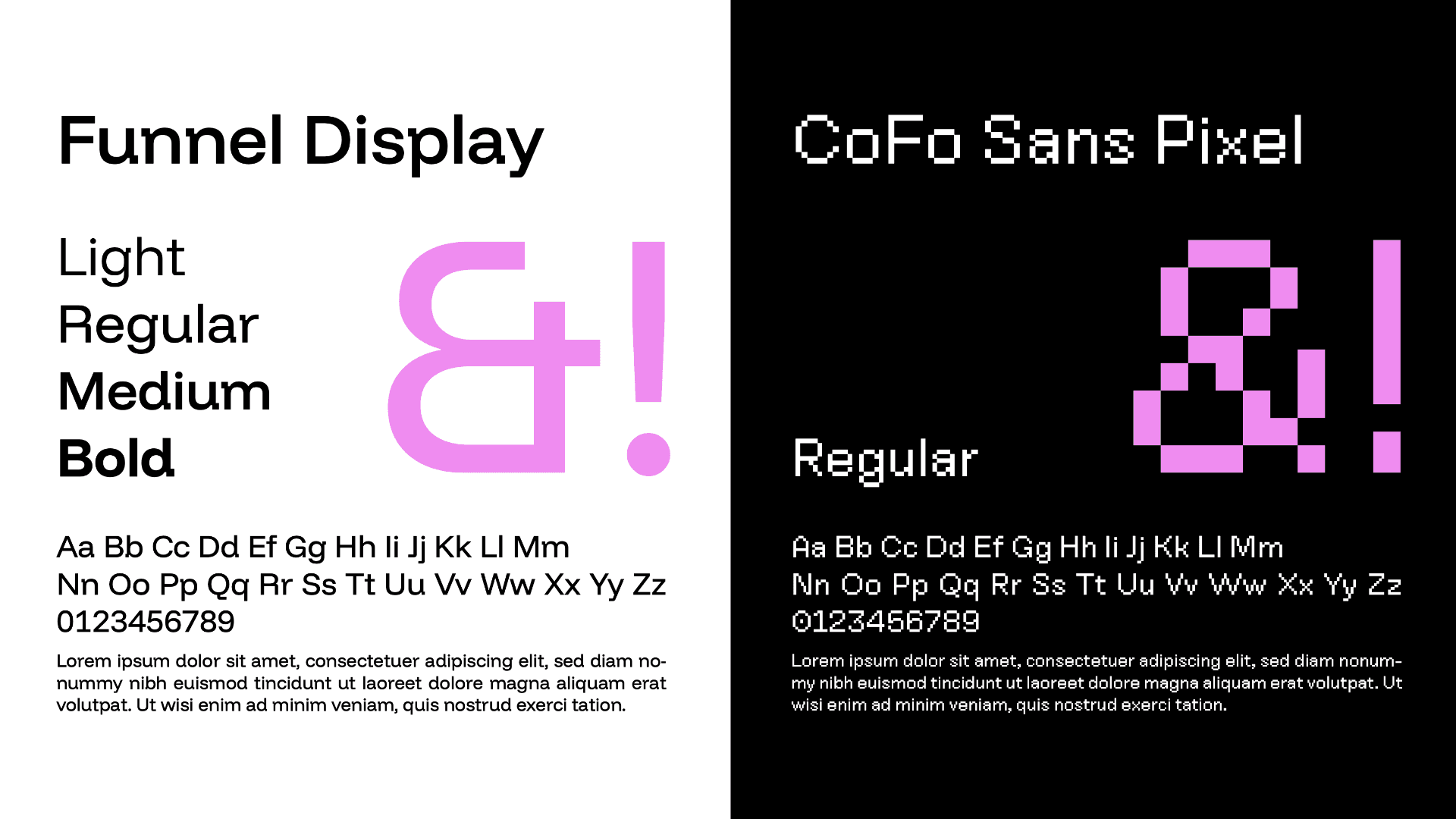 Ettore Studio Project Detail 2